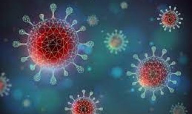 தடுப்பூசிக்கு கட்டுபடாத புதிய வகை வைரஸ் ... பெயர் ஒமிக்ரான் : உலக சுகாதார அமைப்பு எச்சரிக்கை