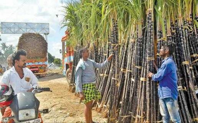 தமிழரின் தனிப்பெரும் விழா “பொங்கல்” பற்றி தெரிந்துக்கொள்வோம்!!