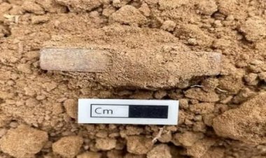 கீழடி அகழாய்வில் கிடைத்துள்ள செவ்வக வடிவிலான தங்கத்திலான பகடைக்காய்!