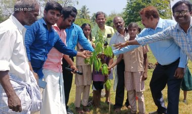 1 நிமிடத்தில் 100 மரக்கன்றுகள் நடும் விழா