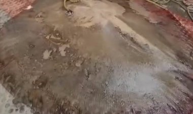 புதுச்சேரியில் மீனவர்கள் வலையில் சிக்கிய ராட்சத திருக்கை மீன்