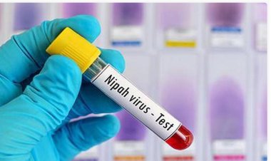 கேரளாவில் மீண்டும் நிபா வைரஸ்? - 3 மாவட்டங்களுக்கு எச்சரிக்கை