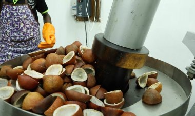 தேங்காய் எண்ணெய் விலை தாறுமாறாக உயர்ந்தது.. சென்னையில் வாயடைத்து போக வைக்கும் இளநீர் விலை