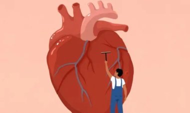 மாரடைப்பு வருவது எப்படி? அறிகுறிகளும் வராமல் தடுக்கும் வழிமுறைகளும்