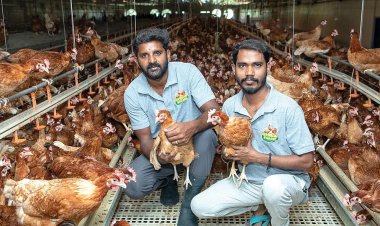 திறந்தவெளியில் வளரும் கோழிகளுக்கும் முட்டைகளுக்கும் பெரிய மார்க்கெட் இருக்கு!''