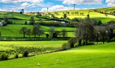 உலகிலேயே மிகவும் அமைதியான நாடு எது தெரியுமா?