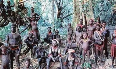 உடலில் முக்கிய பாகத்தை வெட்டிக் கொள்ளும் பழங்குடி பெண்கள்.. என்ன காரணம் தெரியுமா?