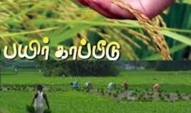 பிரதமரின் பயிர் காப்பீட்டு திட்டத்தில் சேர விவசாயிகள் விண்ணப்பிப்பது எப்படி.. தேனி கலெக்டர் விளக்கம்