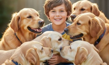 பேச தெரியாமல் குரைக்கும் 8 வயது சிறுவன் - நாய்களுடன் மட்டுமே வளர்ந்ததால் வந்த வினை