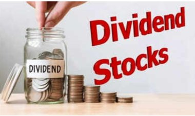 40 முறைக்கு மேல் டிவிடெண்ட் தொகை வழங்கிய 10 பங்குகள்... டிசிஎஸ், ஹெச்சிஎல் டெக் ஆகிய பங்குகள் அடங்கும்...