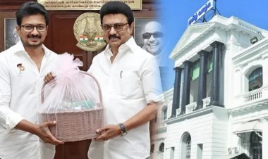 தொட்டதெல்லாம் சிக்சர் தான்! வீட்டுமனைப் பட்டா.. மகளிர் உரிமைத் தொகை! தமிழக அரசின் சூப்பர் திட்டங்கள்