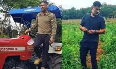 ஐபிஎல் தாண்டி விவசாயம் மூலம் தோனிக்கு எவ்வளவு வருமானம் தெரியுமா?