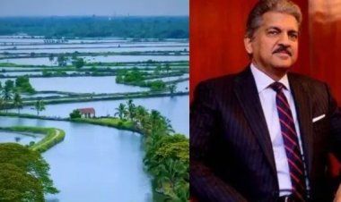 ஏங்க.. கூமாப்பட்டி தெரியும்.. கடமக்குடி தெரியுமா?.. ஆனந்த் மஹிந்திராவே புகழ்ந்து தள்ளிய சொர்க்க பூமி