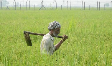 இம்மாதம் முதல் வருகிறது பணம்: விவசாயிகளுக்கு வெளியான மகிழ்ச்சி தகவல்