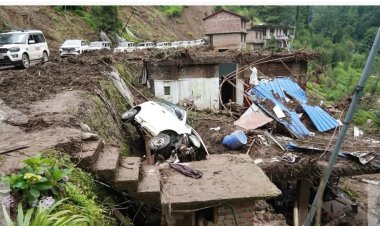 இமாச்சலில் கனமழையால் நிலச்சரிவு: நள்ளிரவில் நாய் குரைத்ததால் உயிர் தப்பிய 67 பேர் கடவுள் இருக்காரு  குமாரு கடவுள்!