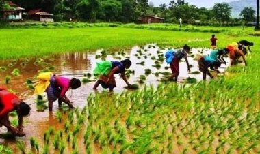 ஈரோடு விவசாயிகளுக்கு வரும் வேளாண் அதிகாரி அழைப்பு.. அடுத்த நிமிடம் பறிபோகும் பணம்.. பின்னணி