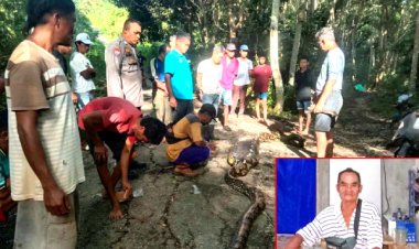 மலைப்பாம்பின் வயிற்றில் விவசாயியின் உடல்., அதிர்ச்சியில் இந்தோனேசிய கிராமம்