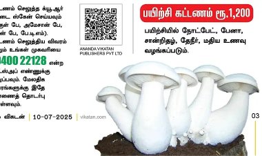 100 சதுர அடியிலேயே கூட தொடங்கலாம்... லாபம் தரும் காளான் வளர்ப்பு பயிற்சி! பசுமை விகடன் டீம்