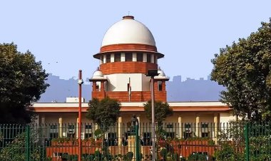 சென்னை வழக்கறிஞர் ஒருவர் வாடகை வீட்டை காலி செய்ய மறுத்ததால் அவர் மீது வழக்கு தொடரப்பட்டது.