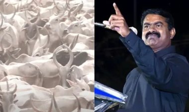 முதல் முறையாக ஆடு மாடுகளுக்கான மாநாடு நடத்தும் சீமான்.. தயார் நிலையில் மாடுகள்!