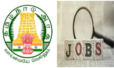 சமூக நலத் துறை வேலை வாய்ப்பு; டிகிரி தகுதி; உடனே விண்ணப்பிங்க!