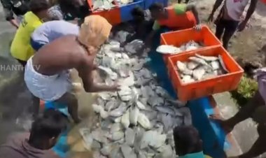 வலையில் சிக்கிய 5 டன் மீன்கள்... ஒரேநாளில் லட்சாதிபதியான மீனவர்