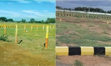 வீட்டு மனை பட்டா.. சென்னை உயர்நீதிமன்றம் சொன்ன முக்கியமான விஷயம்.. பல ஏழைகளுக்கு குட்நியூஸ்