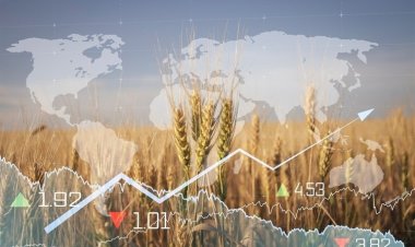 வேளாண் அறிவியலின் தற்போதைய உலகளாவிய சந்தை