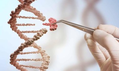 பொறுமை இழப்பிலிருந்து ஒரு அதிர்ச்சியூட்டும் கண்டுபிடிப்பு வரை