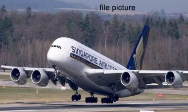 சென்னை-சிங்கப்பூர் விமானத்தில் தொழில்நுட்ப கோளாறு; பயணிகள் 217 பேர் கடும் அவதி