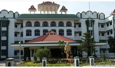 மரம் வெட்ட சட்டவிரோத அனுமதி வழங்கிய குமரி வன அலுவலர்கள் மீது நடவடிக்கை: ஐகோர்ட்டில் அரசு தகவல்