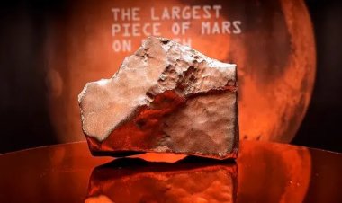 ஏலத்திற்கு வருகிறது 25 கிலோ செவ்வாய் விண்கல்... சஹாரா பாலைவனத்தில் கண்டெடுக்கப்பட்ட பொக்கிஷம்!