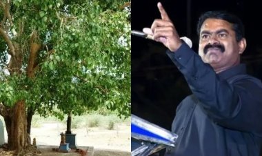 அடுத்ததாக மரங்களின் மாநாடு.. ஆயிரம் மரங்களுக்கு முன் பேசுகிறேன்.. சீமான் வெளியிட்ட அதிரடி அறிவிப்பு!