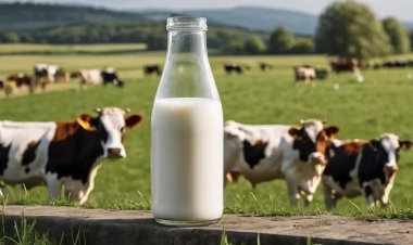 இந்தியாவில் அதிக பால் உற்பத்தி செய்யும் 5 மாநிலங்கள்.. தெரிஞ்சா ஆச்சரியப்படுவீங்க..!