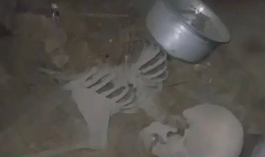 பூட்டிய வீட்டுக்குள் எலும்புக்கூடு' - கிரிக்கெட் பந்து எடுக்கப்போனபோது அதிர்ச்சி - தீவிர விசாரணை