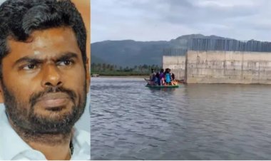 லிங்காபுரம் பாலப் பணிகள் மந்தம்; பரிசலில் செல்லும் மாணவர்கள்... வீடியோ வெளியிட்ட அண்ணாமலை