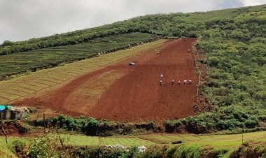 தவறான விவசாய முறைகளால் மதிப்புமிக்க மேல் மண்ணை இழக்கும் நீலகிரி!