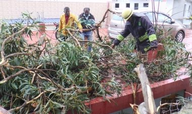 நீலகிரியில் பரவலாக மழை: வனத்துறை கட்டுப்பாட்டில் உள்ள சுற்றுலா தலங்கள் மூடல்