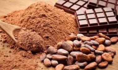 முற்பகல் செய்யின் பிற்பகல் விளையும்: நாம செஞ்ச பெரிய தப்பு.. உலகத்துல சாக்லேட்டே இல்லாம போக போகுது!