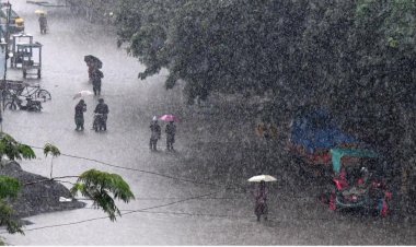 கோவை, நீலகிரி உள்ளிட்ட 6 மாவட்டங்களில் இன்று கனமழை: வானிலை ஆய்வு மையம் தகவல்