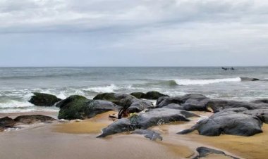 சென்னை கோவளம் கடற்கரையில்.. சட்டென பார்த்தல் ஷாக்.. திரண்டு வந்து நின்று.. ஸ்டன் ஆன மக்கள்