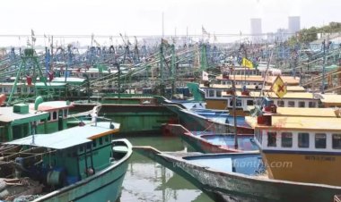 தேசிய மீன்பிடி டிஜிட்டல் தளத்தில் பதிவு செய்ய வேண்டும்: மீனவர்களுக்கு அழைப்பு...