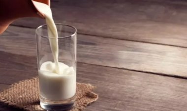 அதென்ன அசைவ பால்? அமெரிக்கா கொடுக்கும் பிரஷர்.. திட்டவட்டமாக மறுக்கும் இந்தியா.. பின்னணி