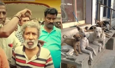 காட்பாடியில் நாய் கறி? திடீரென போராட்டத்தில் குதித்த மக்கள்.. ஆனால் விஷயமே வேற!!!