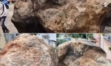 வாணியம்பாடியில் நடுத்தெருவில்.. ஆத்தி எத்தா தண்டி? குன்றிலிருந்து குபீர்னு வந்துருச்சு இந்த மழைக்கே