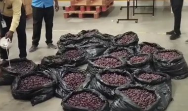 ஆன்லைன் வர்த்தக நிறுவனத்தின் சேமிப்பு கிடங்குகளில் சோதனை; காலாவதியான 278 கிலோ பேரீச்சம் பழம் பறிமுதல்..