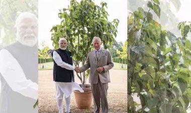 பிரிட்டன் மன்னருடன் பிரதமர் மோடி சந்திப்பு