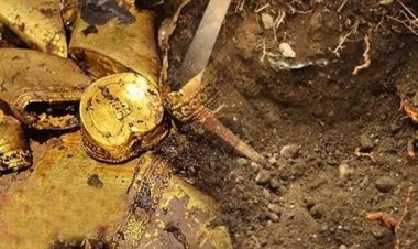 திருப்பூரில் புறம்போக்கு நிலத்தில் புதையல்.. விலை மதிப்பு மிக்க பச்சை கற்கள்.. சுற்றுப்போடும் மக்கள்