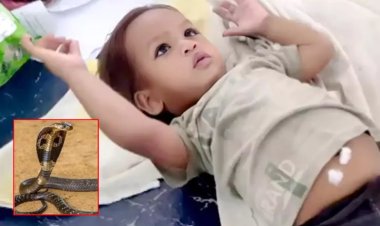 பொம்மை என நினைத்து பாம்பை பிடித்து கடித்த 1 வயது குழந்தை... அடுத்து நடந்த சம்பவம்..