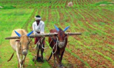 ஆண்டு வருமானம் ரூ.3 மட்டுமே கொண்ட விவசாயி:குளறுபடி வருமானச் சான்றிதழ் இணையத்தில் வைரல்
